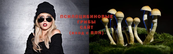 молекула духа Верея