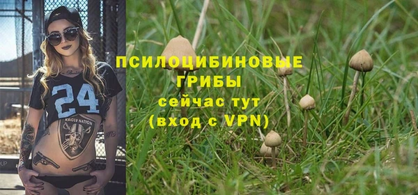 молекула духа Верея