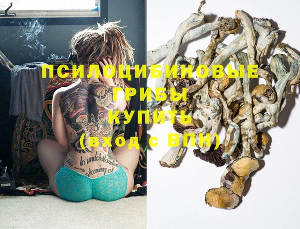 СК Верхний Тагил