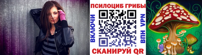 Купить где  Минеральные Воды  Псилоцибиновые грибы мухоморы 